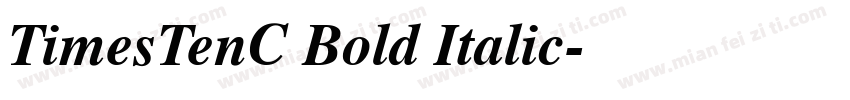 TimesTenC Bold Italic字体转换